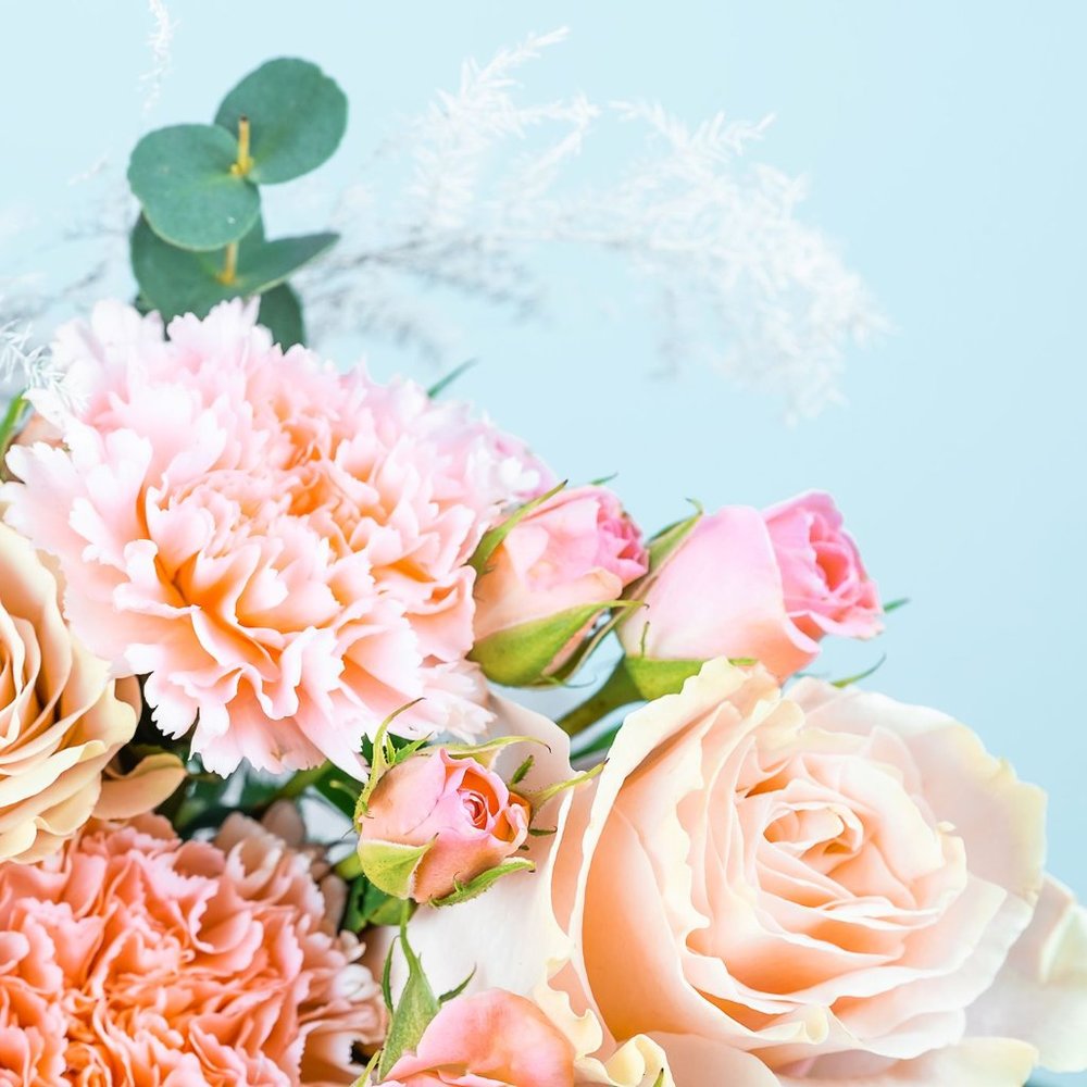 Meet your Posher, Anisa